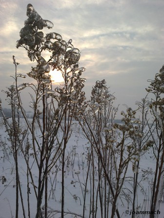 20130127119