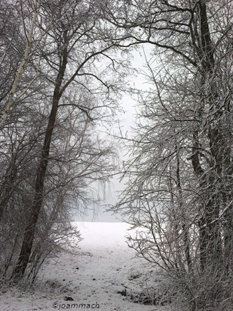 201501311777a