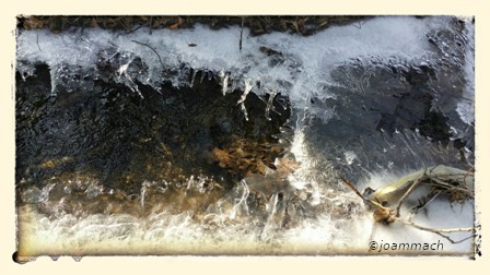 20150218_1139374a