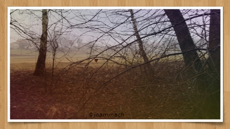 20150225_15.44.28a