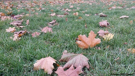 20161101_142836a