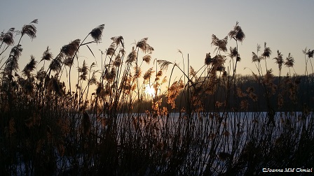 20170129_154719a