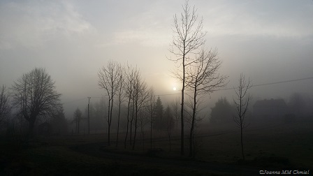 20170309_065550a