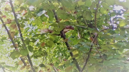 20170608_105125a_RichtoneHDR