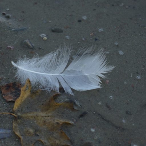 cropped-dsc057-1.jpg