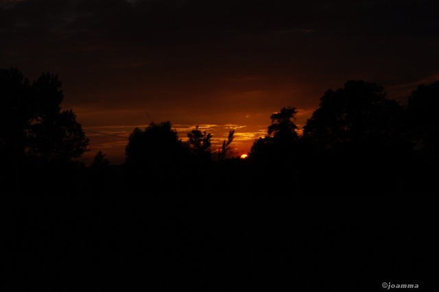 SONY DSC
