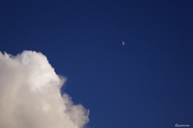 SONY DSC