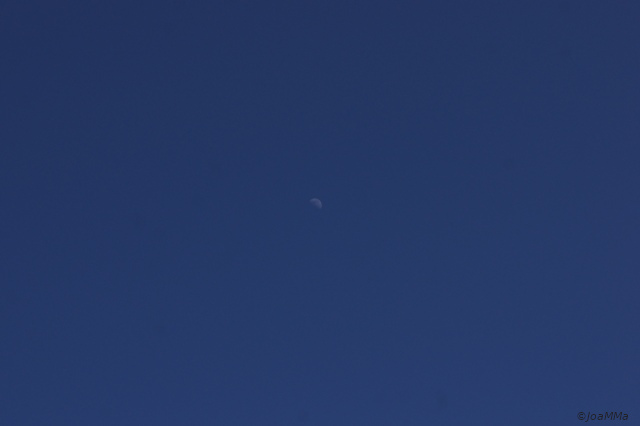 DSC04986a