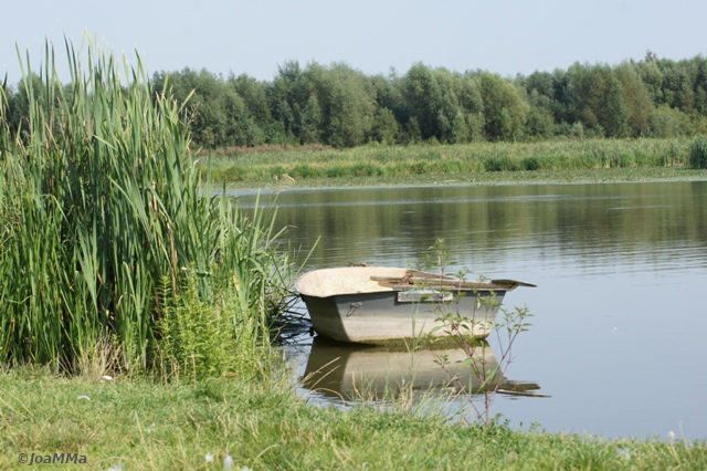 DSC05272a
