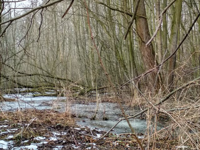 IMG_20180327_113400_HDRa