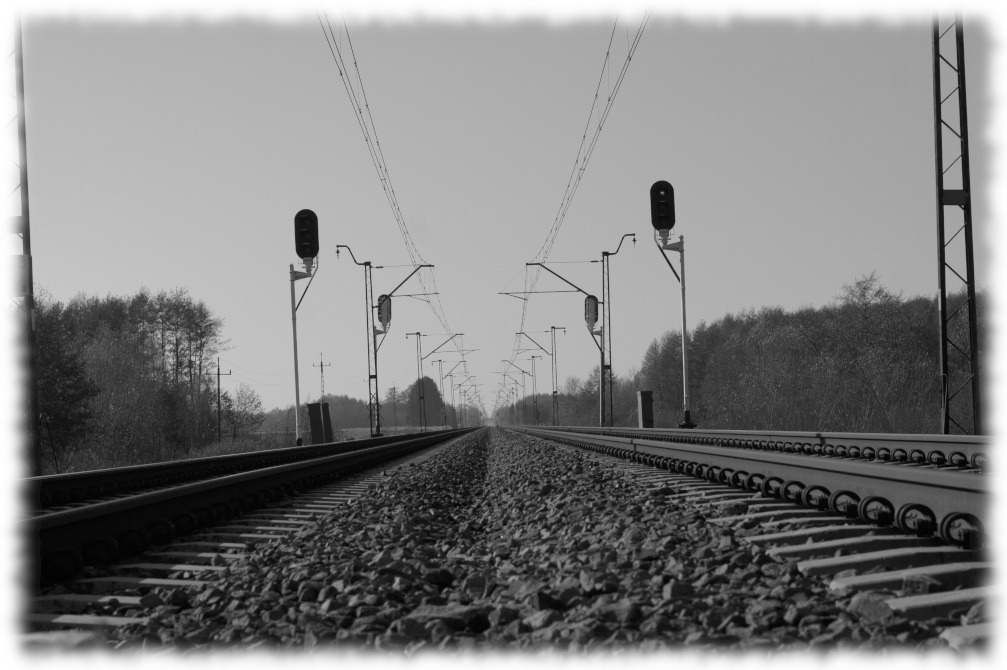 SONY DSC