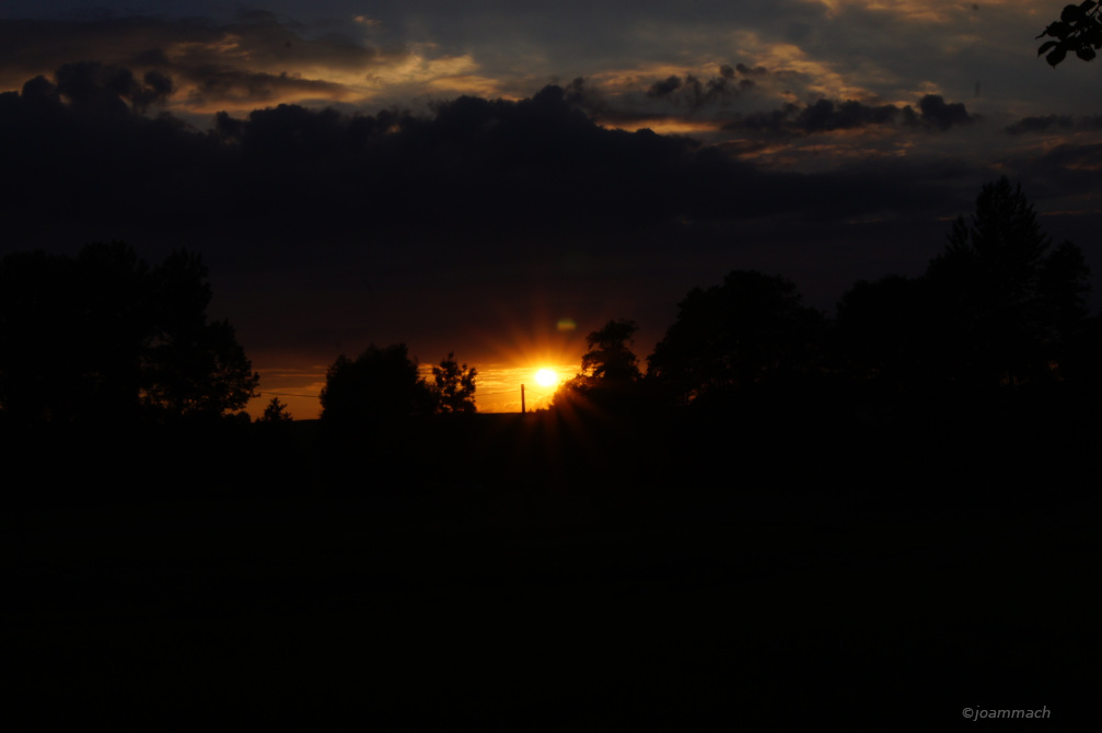 SONY DSC