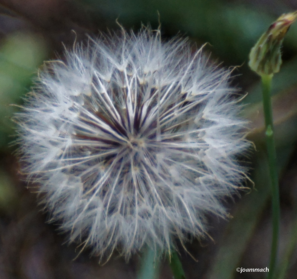 DSC00116ab