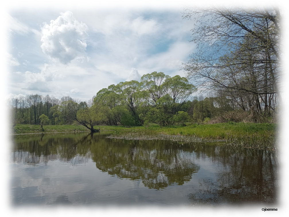 natur