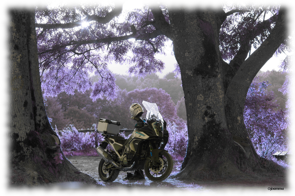 moto